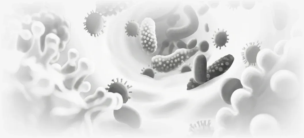 Digestive Harmony – When the microbiome needs support