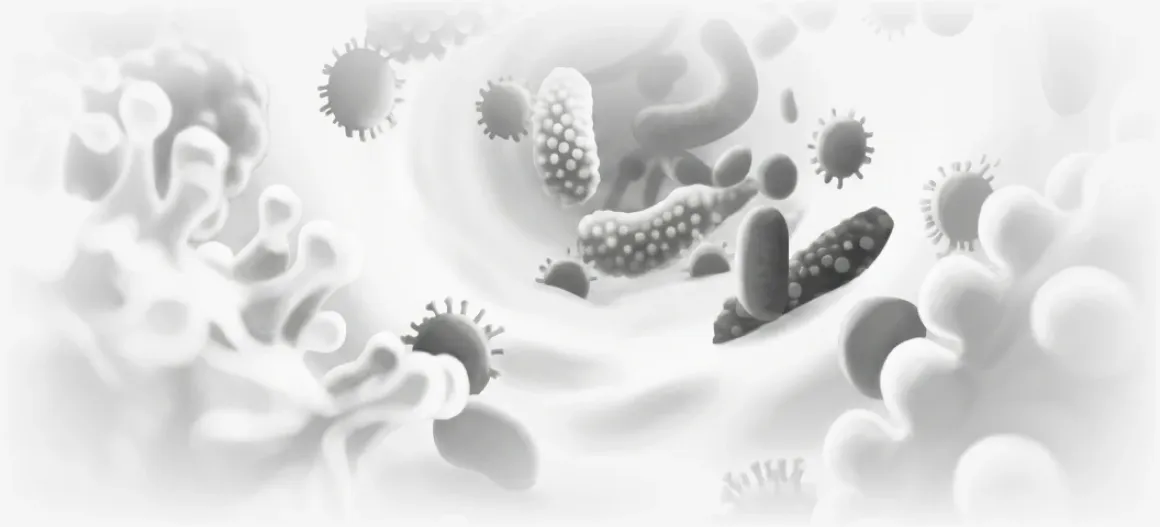 Digestive Harmony – When the microbiome needs support Digestive Harmony – When the microbiome needs support